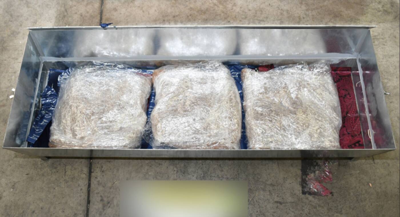 canadian man arrested australia ecstasy barbecues